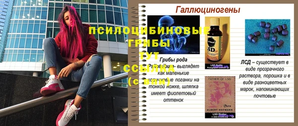 прущие крисы Балахна