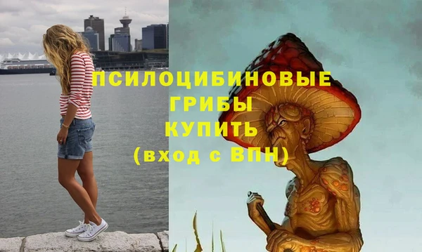 стаф Михайловка