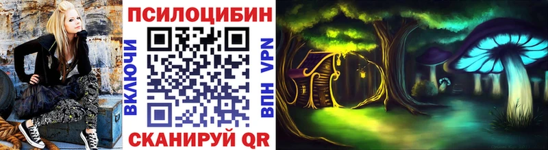 Купить закладки  Алексеевка  Галлюциногенные грибы ЛСД 